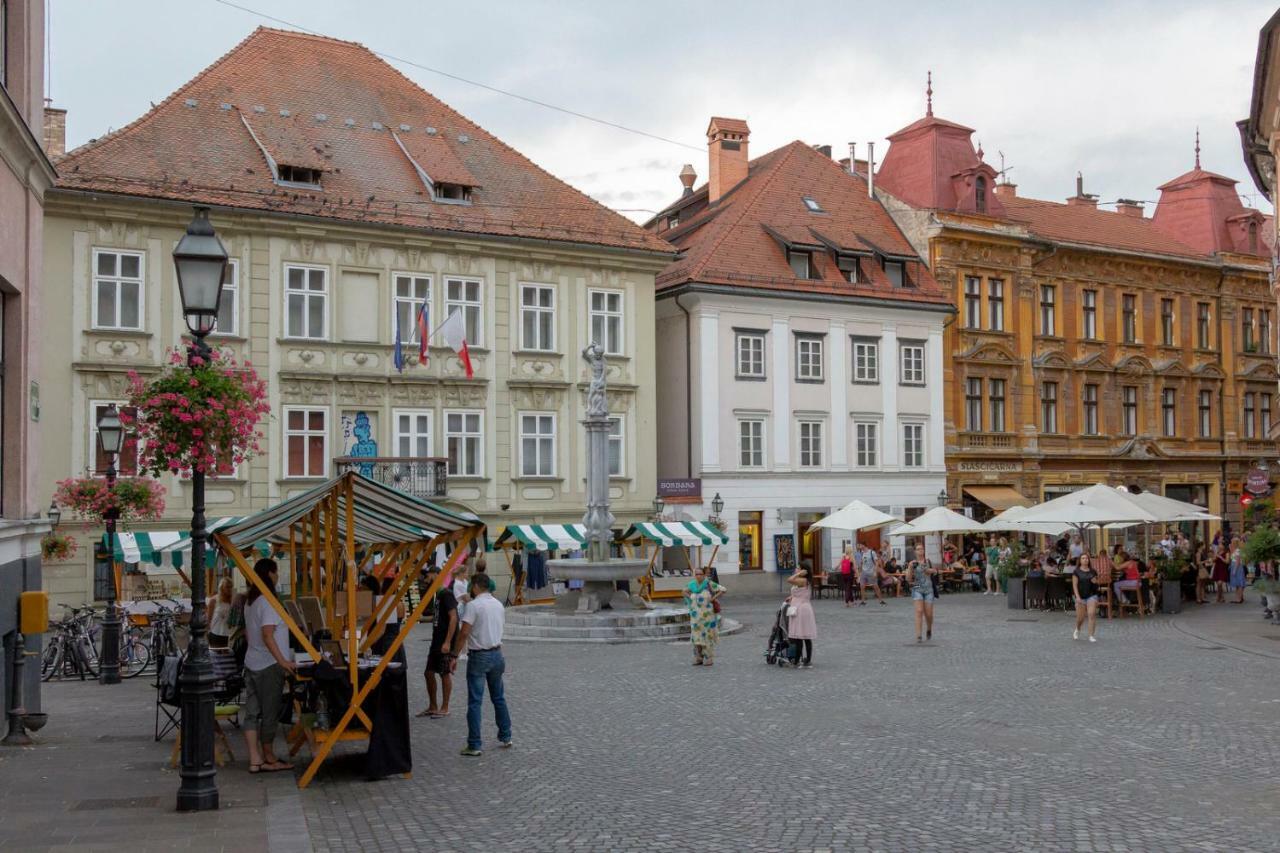 Apartment Fine Dalmatinova Lublaň Exteriér fotografie